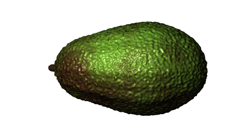 avocado_final